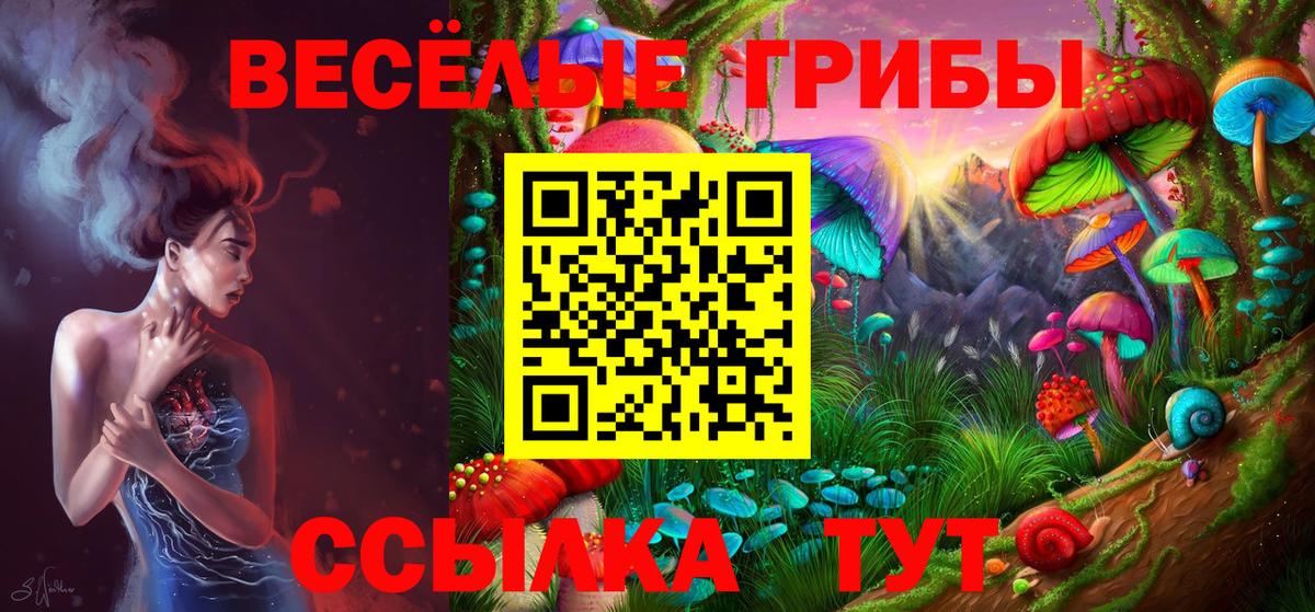 Псилоцибиновые грибы Psilocybine cubensis  Вход с VPN  Дзержинский 